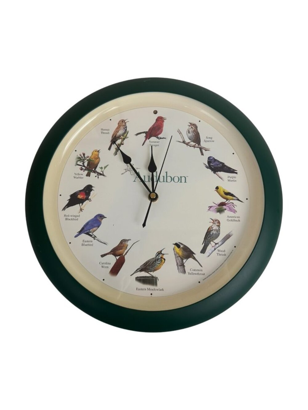 Audubon Singing Bird Wall Clock Nature Birdwatching Decor Green Round Clock